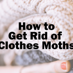 How to Get Rid of Clothes Moths - Mini-Maxi Storage in Tampa, FL